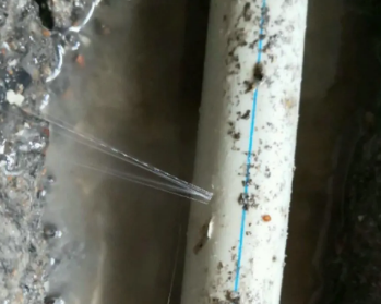 高阳卫生间测漏水多少钱