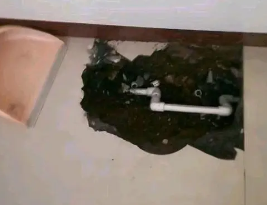高阳卫生间测漏水多少钱